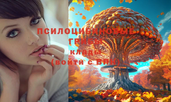 альфа пвп Богородск